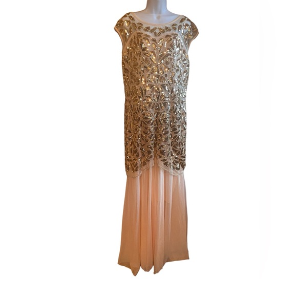 PrettyGuide Dresses & Skirts - PrettyGuide Women’s Champagne/Full Length Gatspy Dress/XXL-NWT